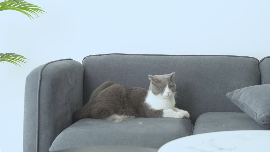 FurNinja™ Pet Hair Remover