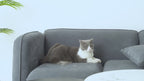 FurNinja™ Pet Hair Remover